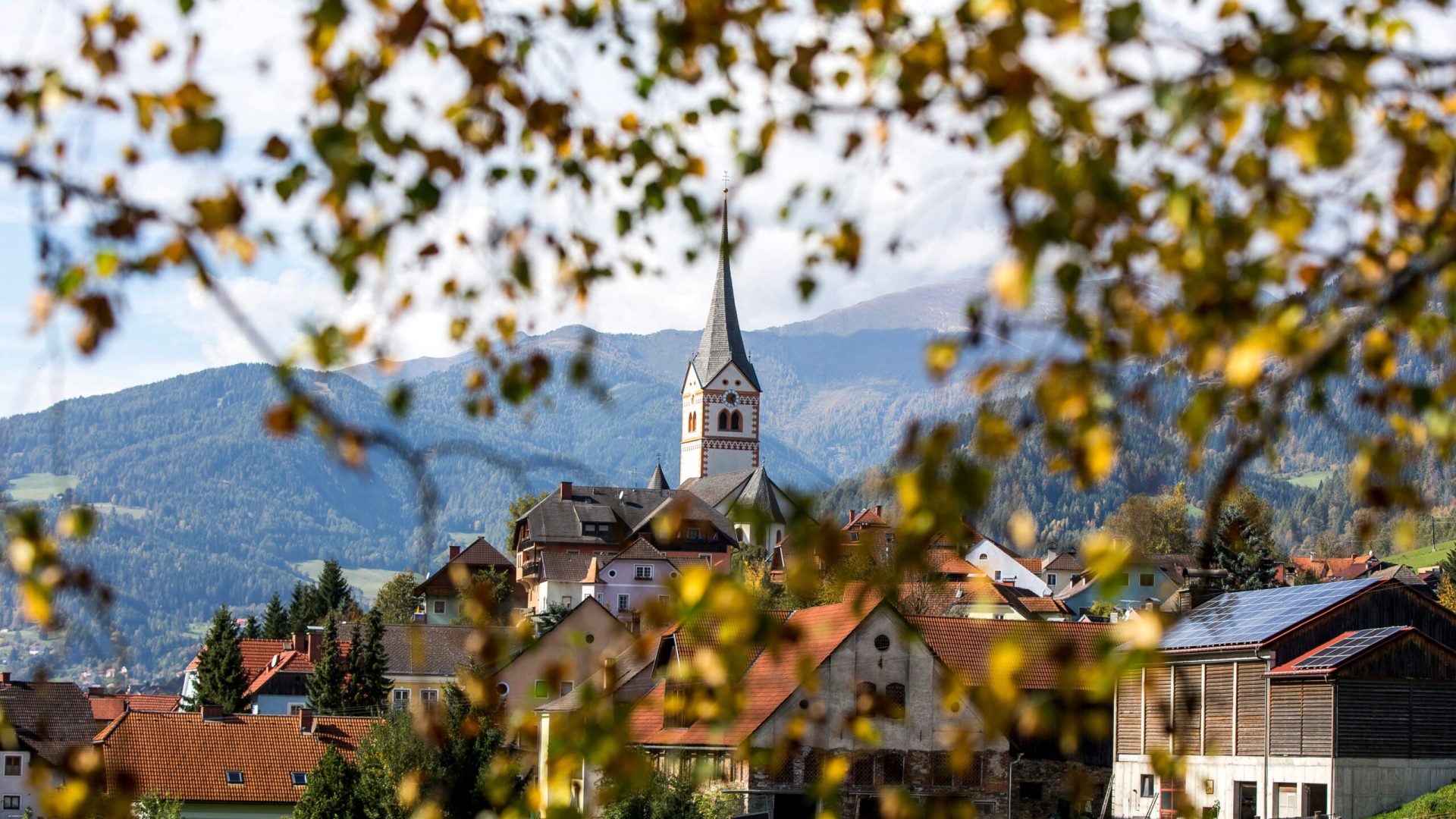 4qwrQ3IvIlF6-TVB-Murau-Tom-Lamm-2