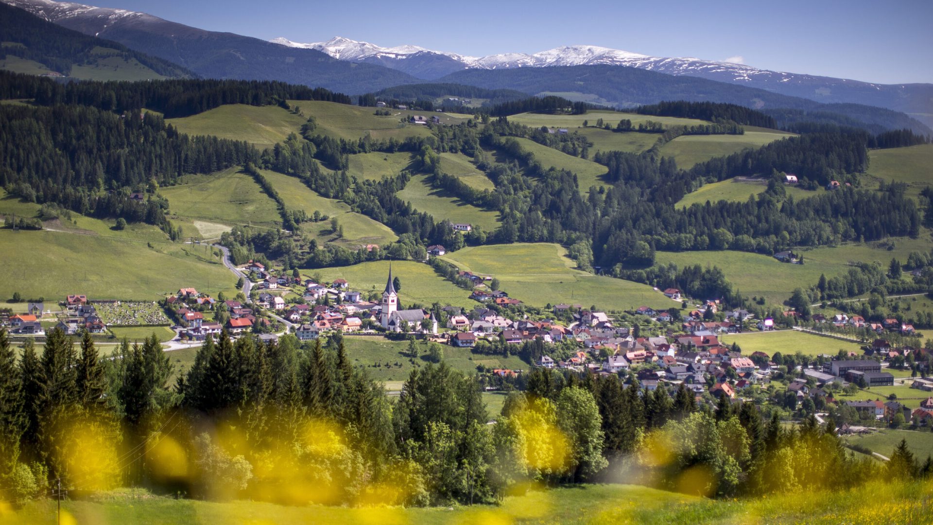 5i0EXgFaYo2V-TVB-Murau-Tom-Lamm-1