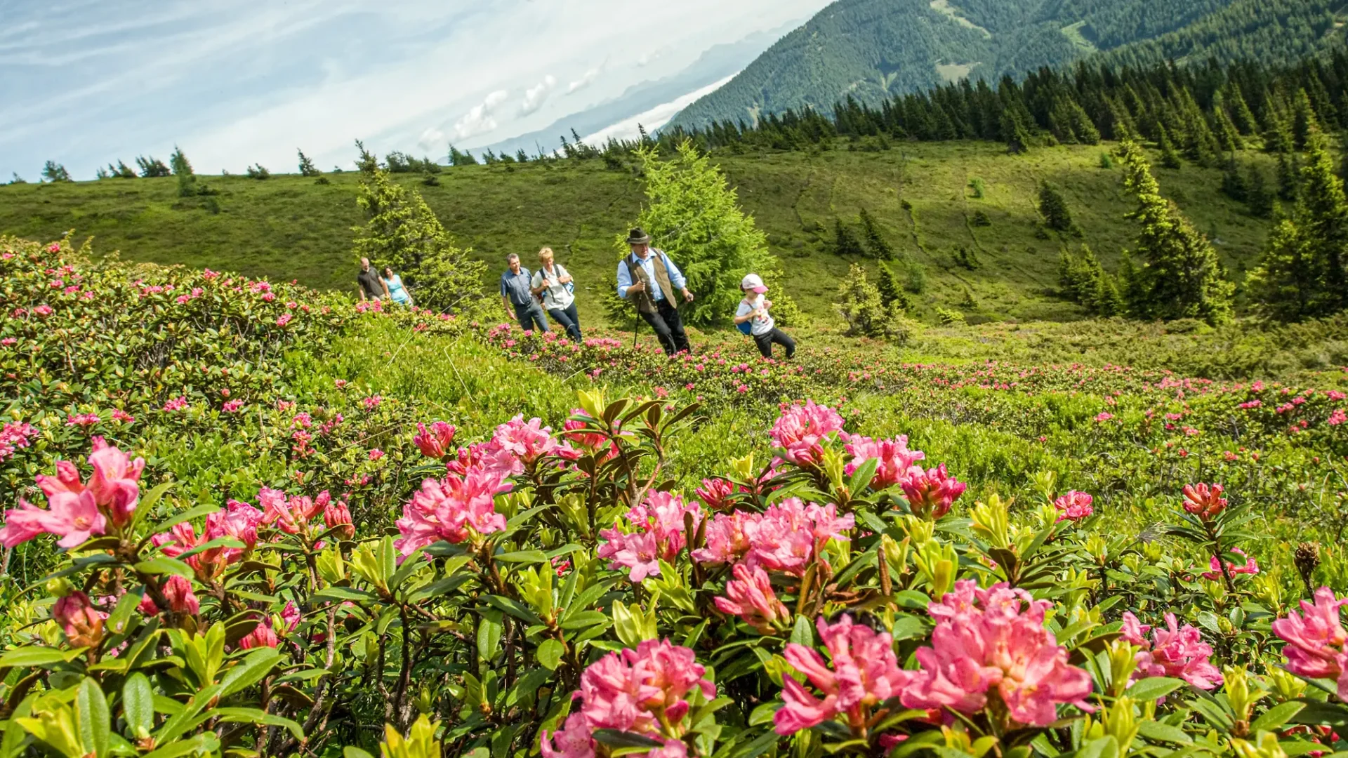 Natur und Landschaft